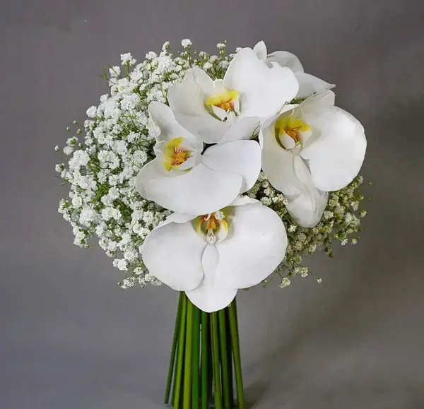 عکس دسته گل شیپوری عروس