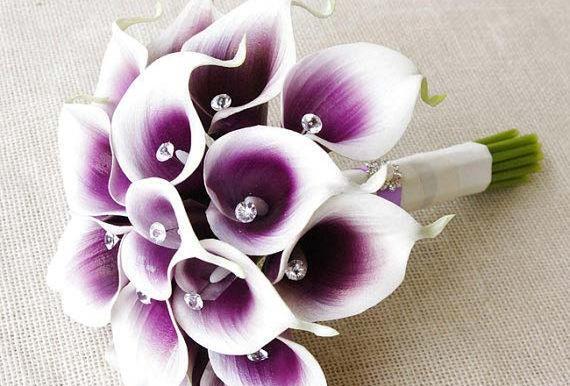 عکس دسته گل شیپوری عروس