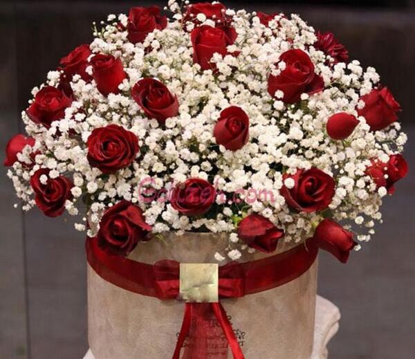 دانلود عکس دسته گل شب خواستگاری