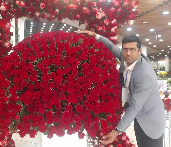 عکس دسته گل سرخابی