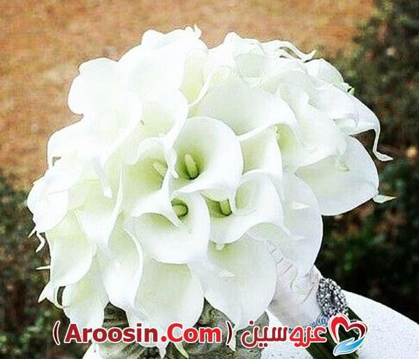 عکس مدل دسته گل عروس سفید