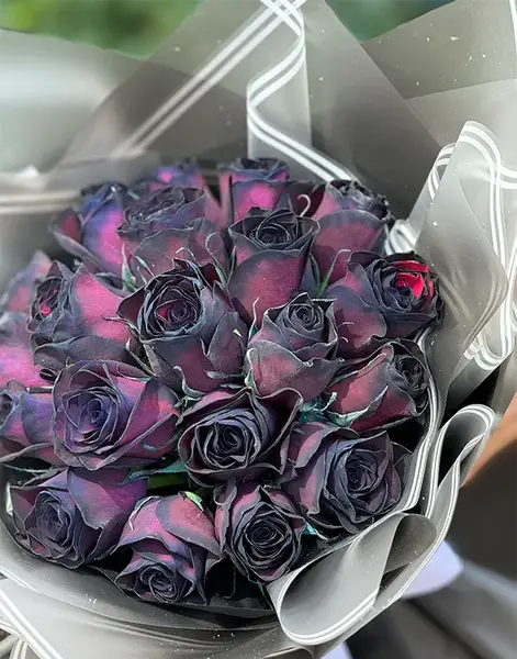 عکس دسته گل رز سیاه