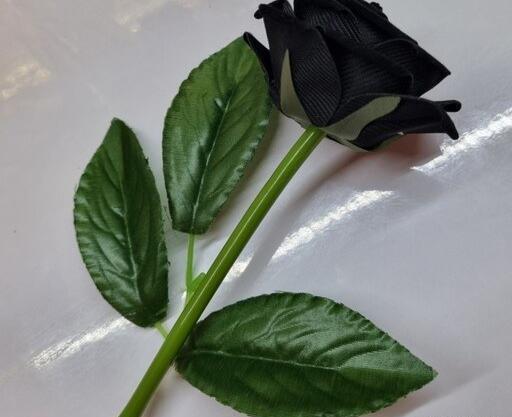 عکس دسته گل رز سیاه
