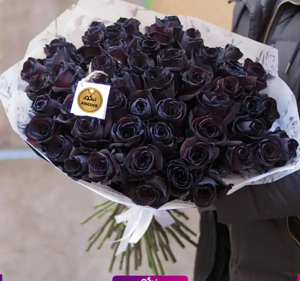 عکس دسته گل رز سیاه