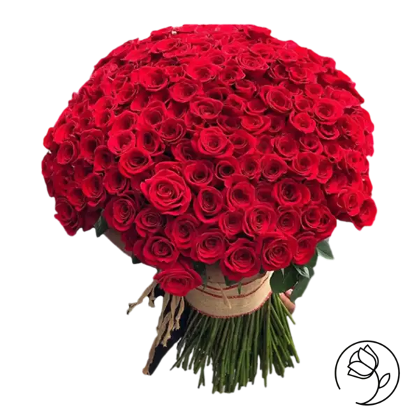 عکس یه دسته گل رز سرخ