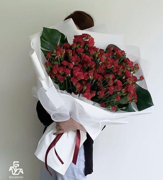 عکس یه دسته گل رز سرخ