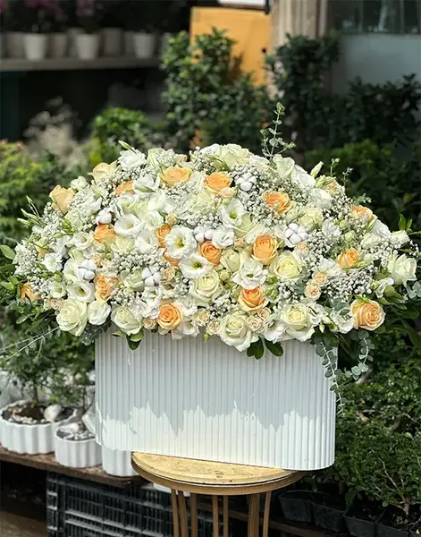 ژست عکس با دسته گل ژیپسوفیلا