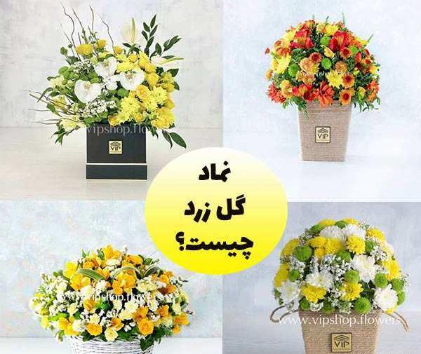 عکس دسته گل زرد رنگ
