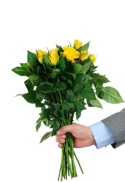 عکس دسته گل رز زرد