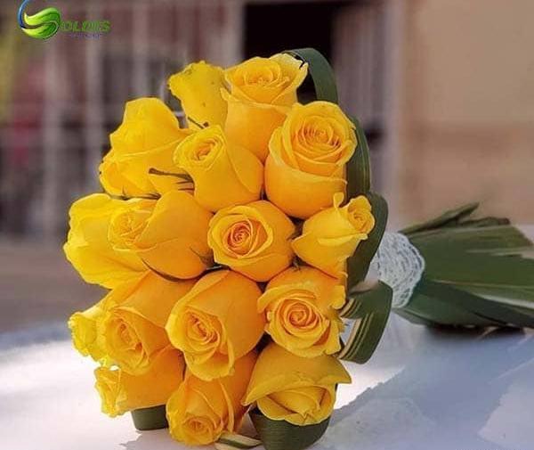 عکس دسته گل رز زرد