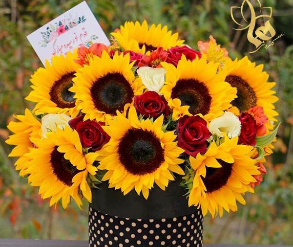 عکس دسته گل رز زرد