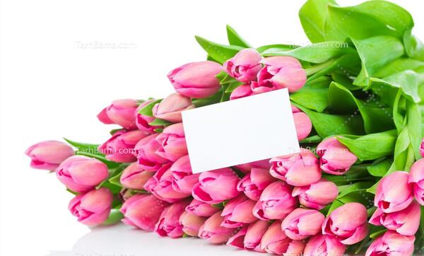 عکس دسته گل زیبای رز