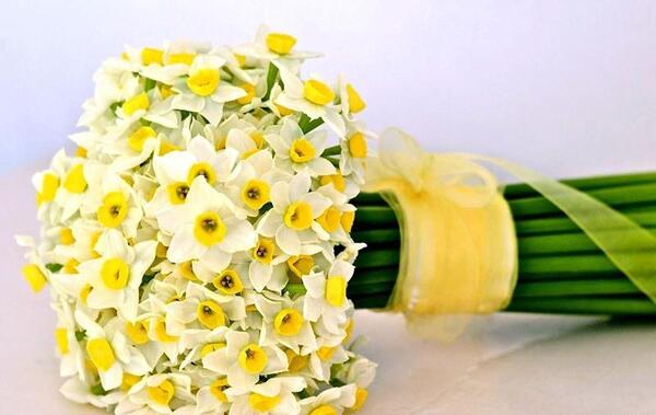 عکس دسته گل برای روز معلم
