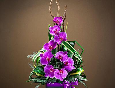 عکس دسته گل برای روز معلم