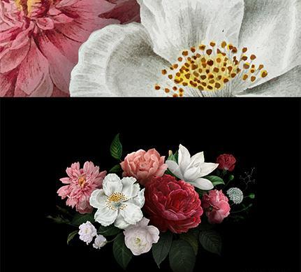 عکس دسته گل رنگارنگ زیبا