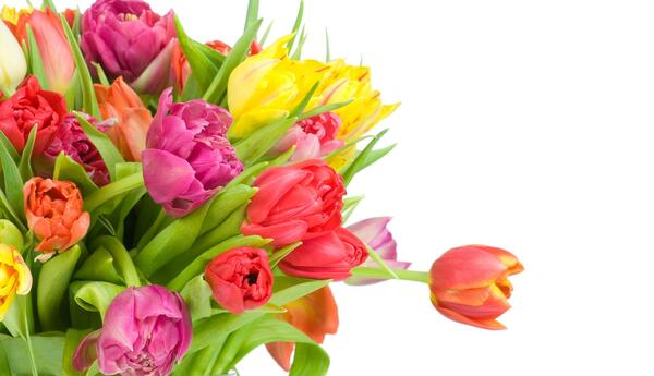 عکس دسته گل رنگارنگ زیبا
