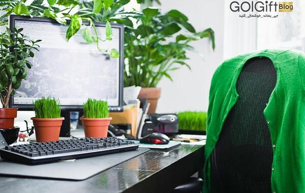 عکس دسته گل روی میز کار