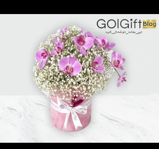 عکس دسته گل برای بیمارستان