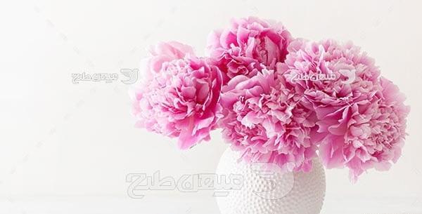عکس دسته گل و گلدان