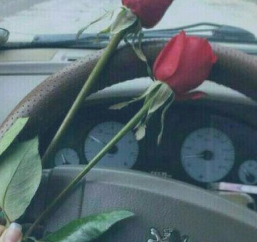 عکس دسته گل روی داشبورد ماشین
