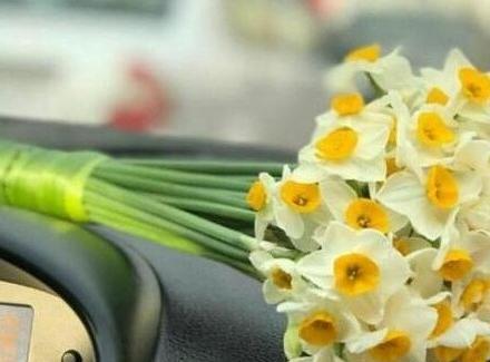 عکس دسته گل روی داشبورد ماشین
