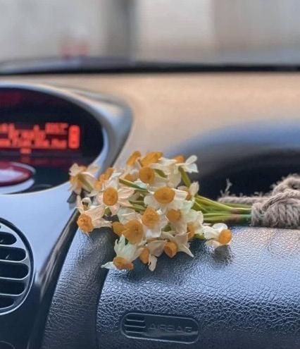 عکس دسته گل روی داشبورد ماشین