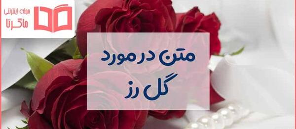 عکس پروفایل دسته گل رز قرمز