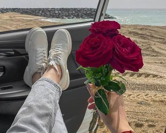 عکس پروفایل دسته گل رز قرمز