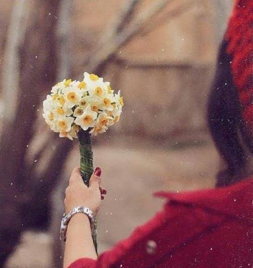 عکس پروفایل دسته گل در دست دختر