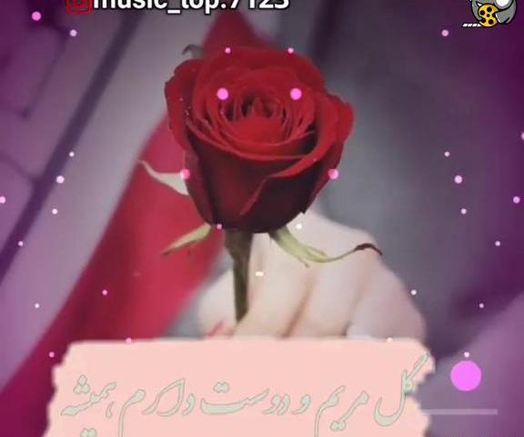 عکس پروفایل دسته گل مریم