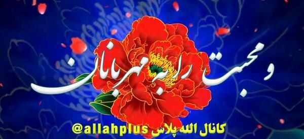 عکس دسته گل تقدیمی زیبا