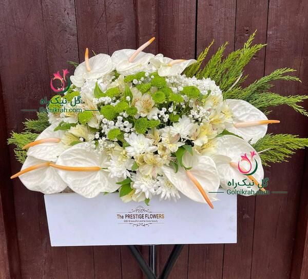 عکس دسته گل برای عرض تسلیت