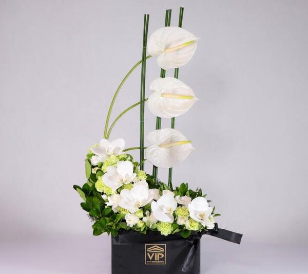 دانلود عکس دسته گل برای تسلیت