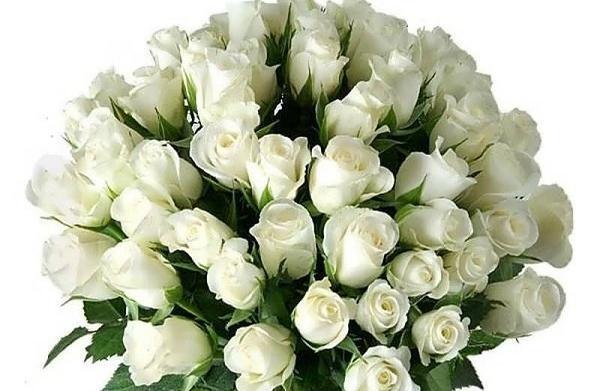 دانلود عکس دسته گل برای تسلیت