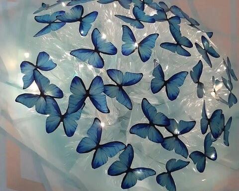 عکس دسته گل پروانه ای