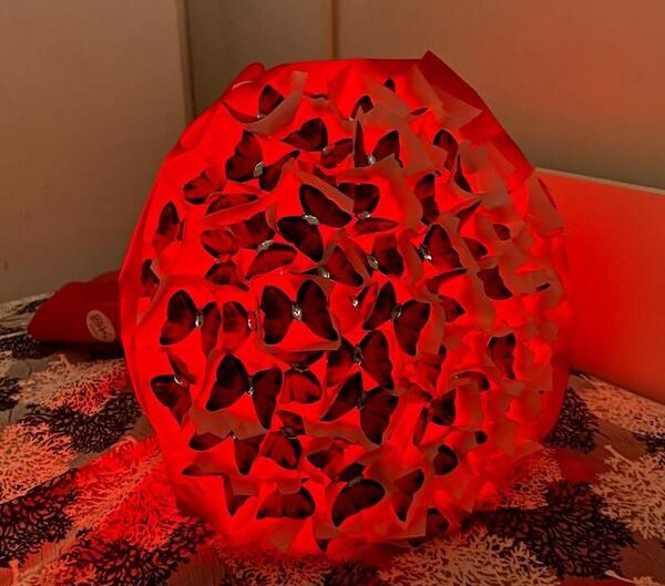 عکس دسته گل پروانه ای