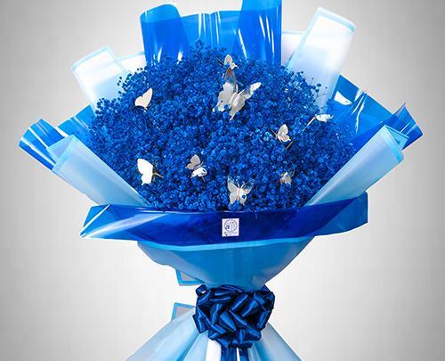 عکس دسته گل پروانه ای