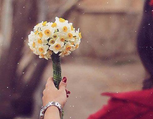 عکس پروفایل دسته گل نرگس