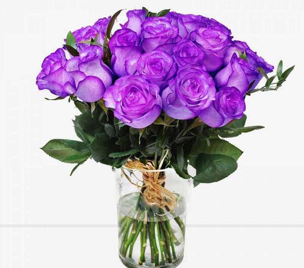 عکس دسته گل رز بنفش