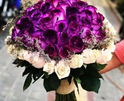 عکس دسته گل رز بنفش