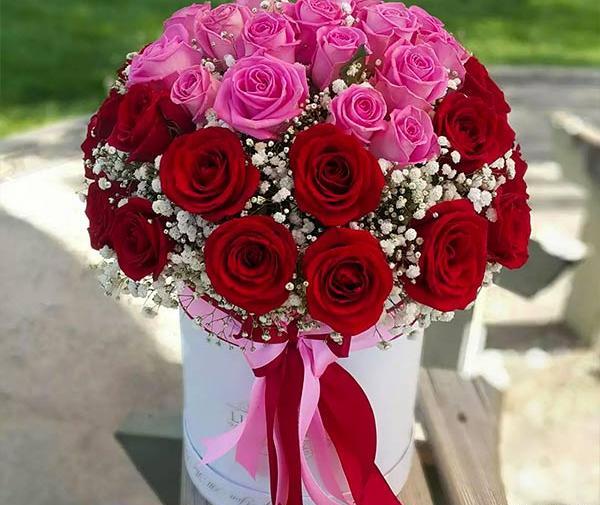 عکس دسته گل رز بنفش