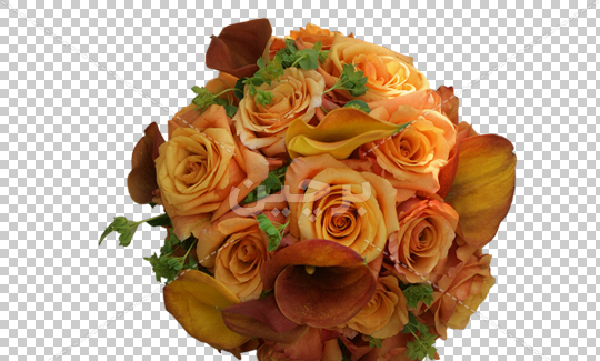دانلود عکس دسته گل عقد