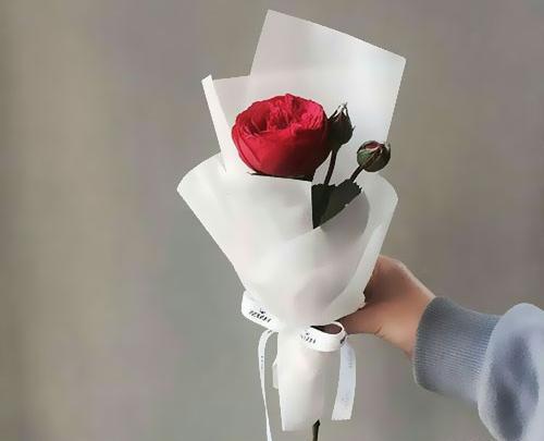 عکس دسته گل برای پروفایل شاد