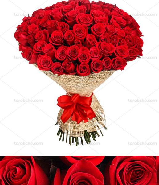 عکس دسته گل بزرگ رز قرمز