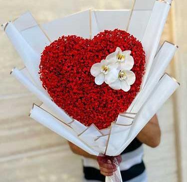 عکس دسته گل بزرگ ژیپسوفیلا