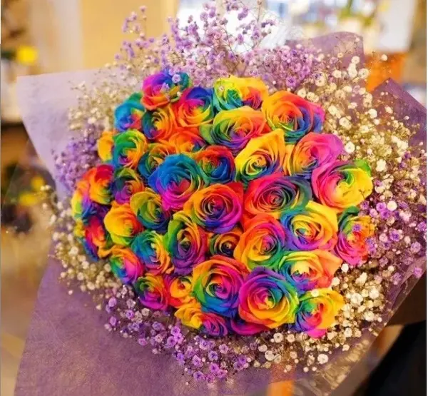 عکس دسته گل بزرگ ژیپسوفیلا