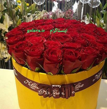 عکس دسته گل بزرگ رز