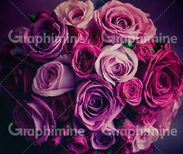 عکس دسته گل بزرگ رز