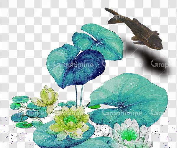 عکس دسته گل نیلوفر آبی