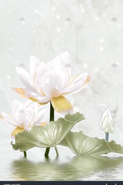 عکس دسته گل نیلوفر آبی
